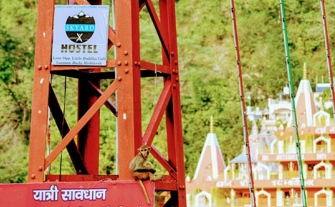 Skyard Rishikesh, Laxman Jhula Vandrarhem Exteriör bild